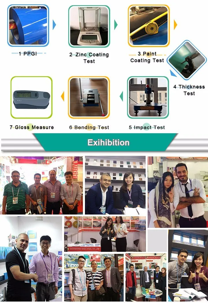 0.25 Thickness Color 9003/9016 Prepainted Galvanized Steel Coil