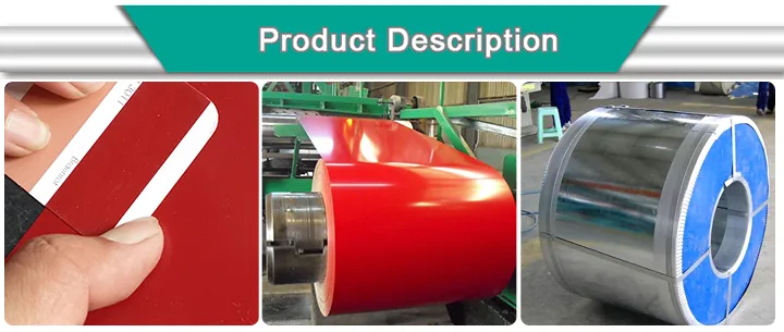 0.25 Thickness Color 9003/9016 Prepainted Galvanized Steel Coil