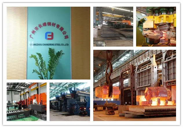 1.2344 H13 SKD61 4Cr5MoSiV1 Hot Forged ESR Hot Work Plastic Tool Steel Block with Hardness