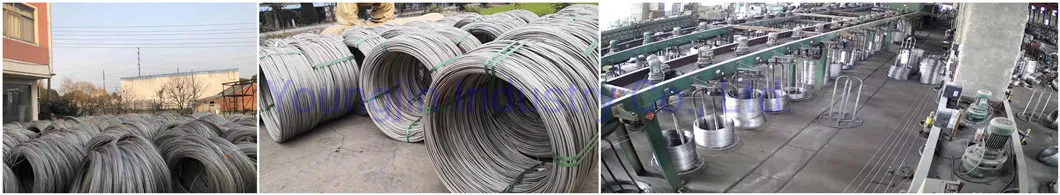 AISI 2520 Hydrogen Annealed Stainless Steel Wire