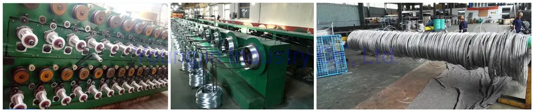 AISI 2520 Hydrogen Annealed Stainless Steel Wire