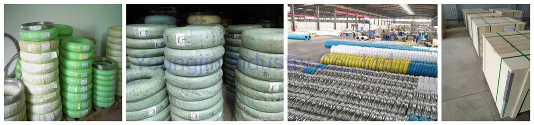 AISI 2520 Hydrogen Annealed Stainless Steel Wire