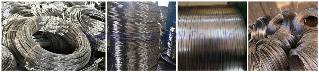 AISI 2520 Hydrogen Annealed Stainless Steel Wire