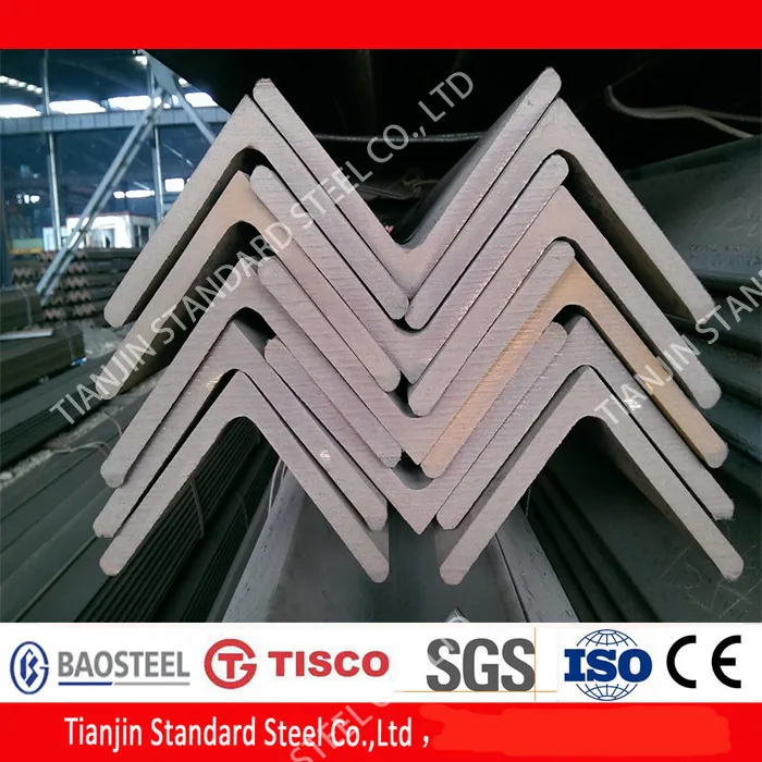 AISI 304 Stainless Steel Angle Bar (100 X 10 mm)