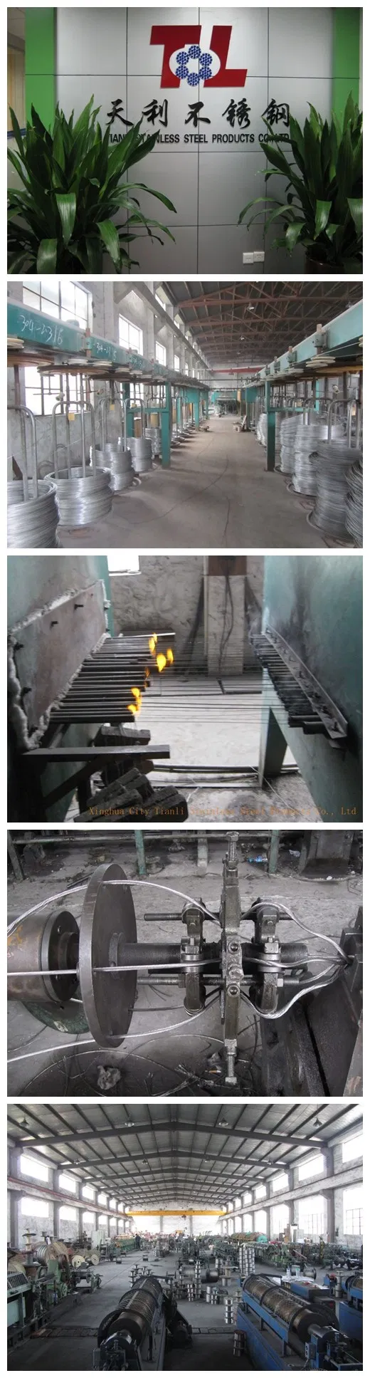 AISI304/316 Stainless Steel 6*36ws+ Iwrc Steel Wire Rope