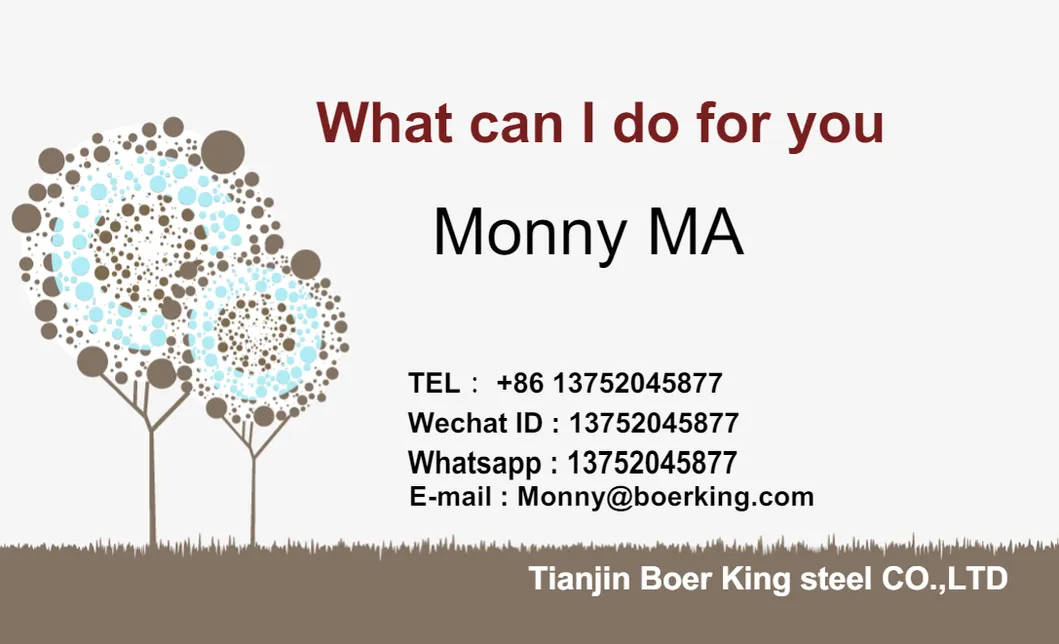 ASTM A106 A36 A53 1.0033 BS 1387 Ms ERW Hollow Steel Pipe Gi Hot DIP Galvanized Steel Pipe EMT Welded Steel Square Round Pipes