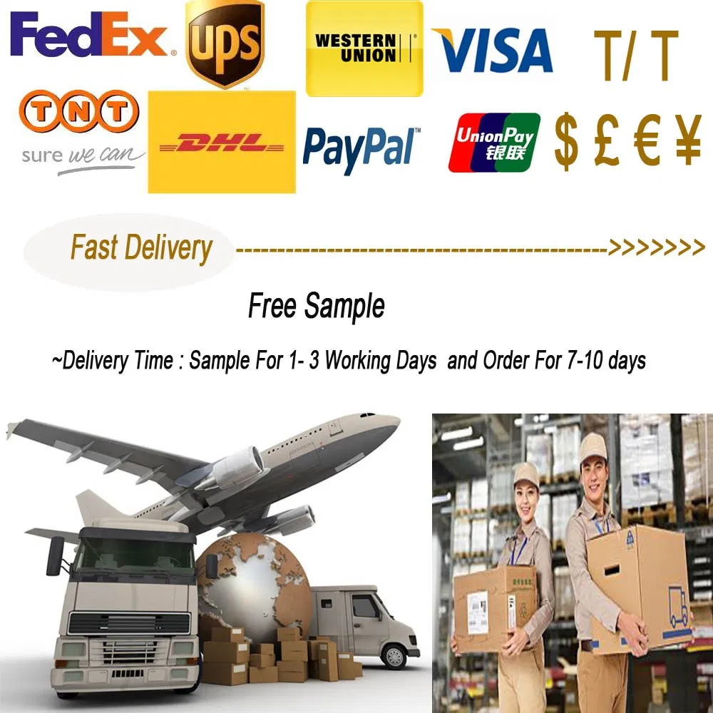 Bright ERW 316L Rhs Shs Ss Tube Factroy Price