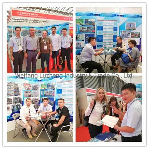 China Factory Boiler High Temperature Seamless Steel Pipe Tube in ASME SA335 P9 P11 P12 P21 P22 P91