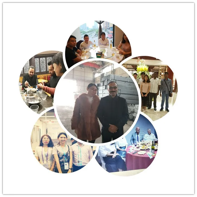 China Manufacture PPGI/HDG/Gi/SGCC Dx51 Zinc Color Coated Steel Coil/Prepainted Galvanized Steel Sheet/Plate/Coils