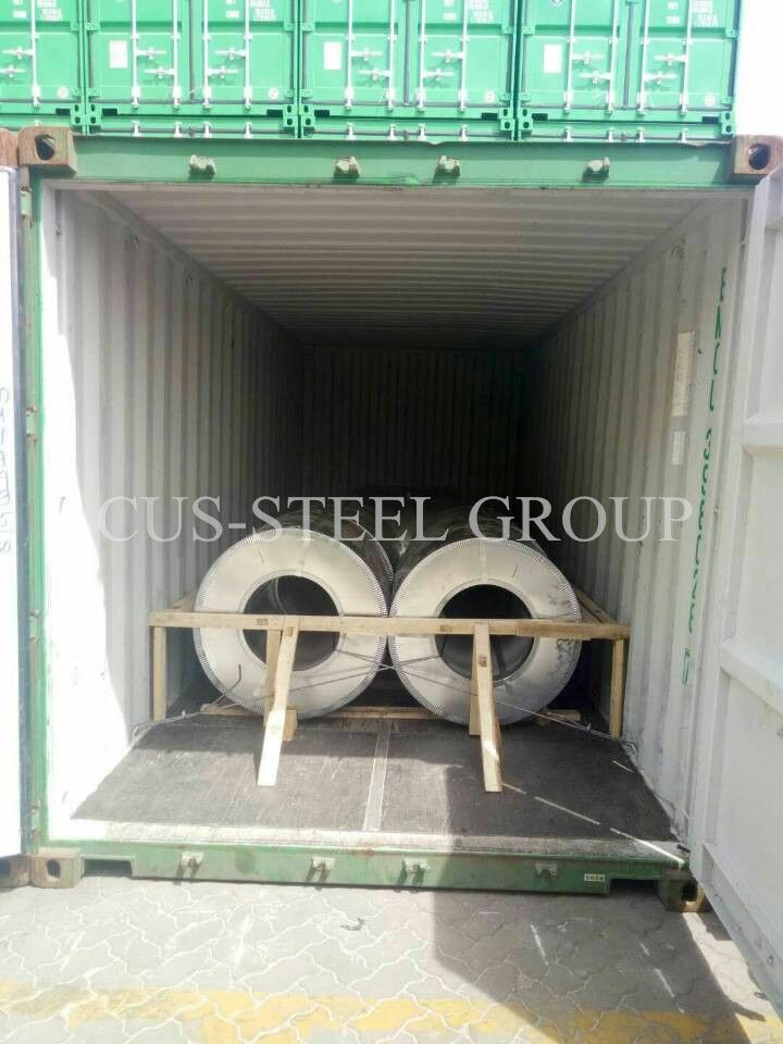 Coating 25/10um Professional Manufacture Pre-Painted Galvanized Steel Coil