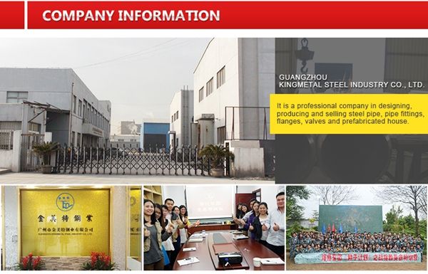 Cold Drawn En 10305-4 E235 E255 E355 +N Precision Seamless Steel Tubes for Hydraulic