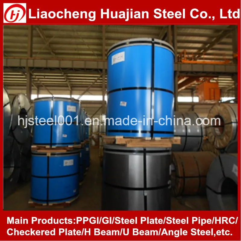 Color Coated Coil/ PPGI for Building