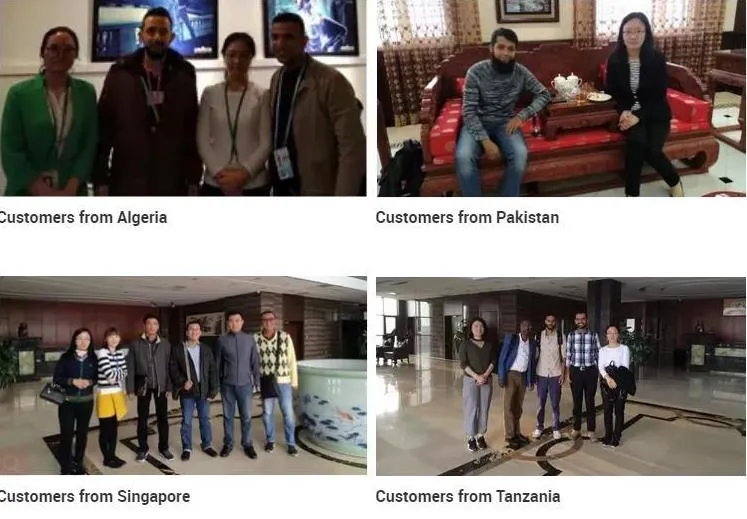 Colorful Galvanized Steel Roofing Sheet of Yx25-205-820