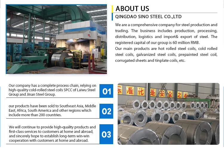 Dx51d 0.24*1000 Z100 Prepainted Galvanized Steel Coil for Roofing Sheet