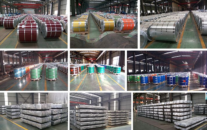 Dx51d Steel Products Building Material Color Coated Galvanized Steel Coil