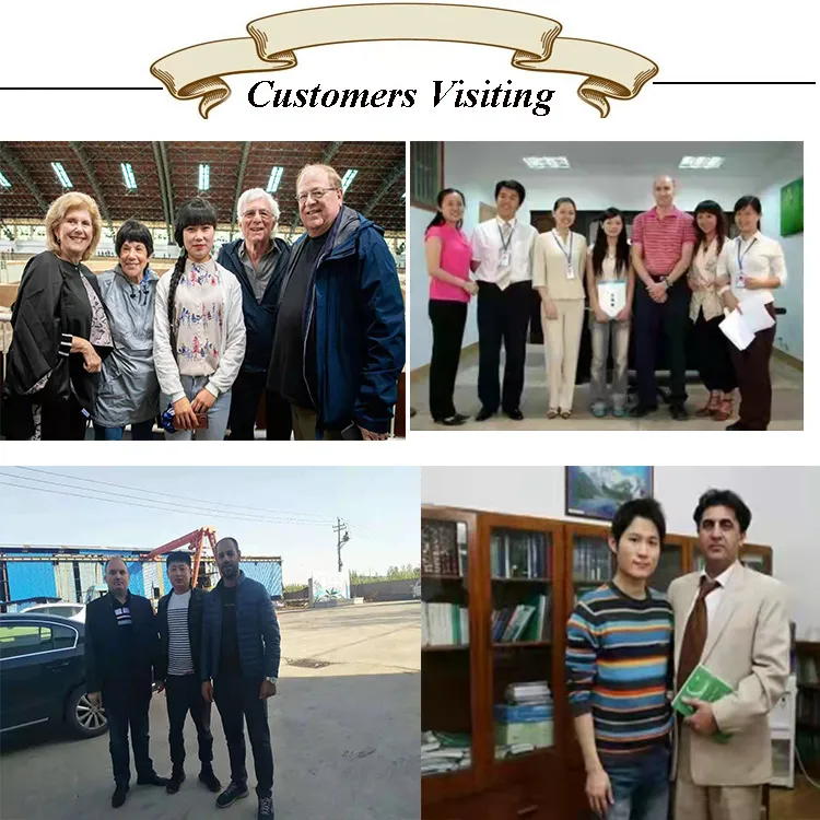 Ferrite/Austenite/Biphasic 304 316L 420 420j1 Ss Stainless Steel Plate in Stock for Kitchen