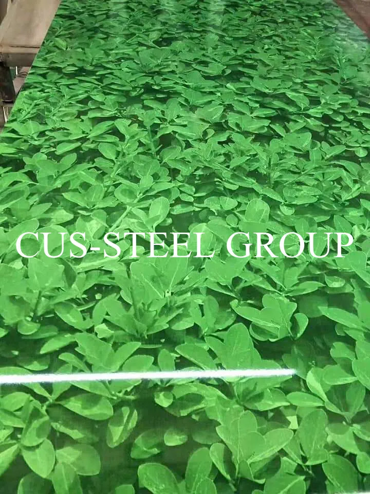 Free Sample Glossy Lacquered Printed PPGL for Washer