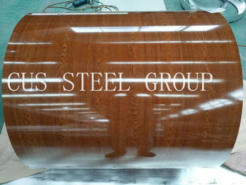 Free Sample Glossy Lacquered Printed PPGL for Washer