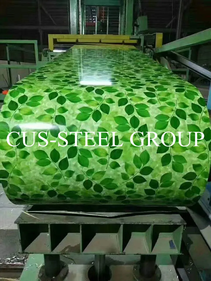 Free Sample Glossy Lacquered Printed PPGL for Washer