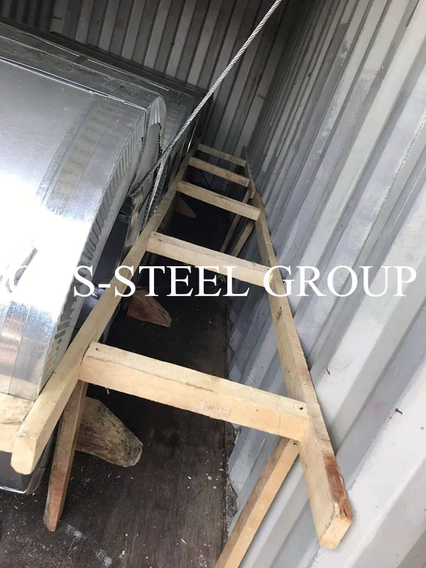 Free Sample Glossy Lacquered Printed PPGL for Washer