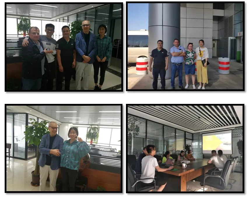 Gi/Ga/Gl/Cr/Hr/PPGI/PPGL Manufacturer 0.12-4.0mm Color Coated Sheet Plate/Coil Prepainted Galvanized Steel Coil