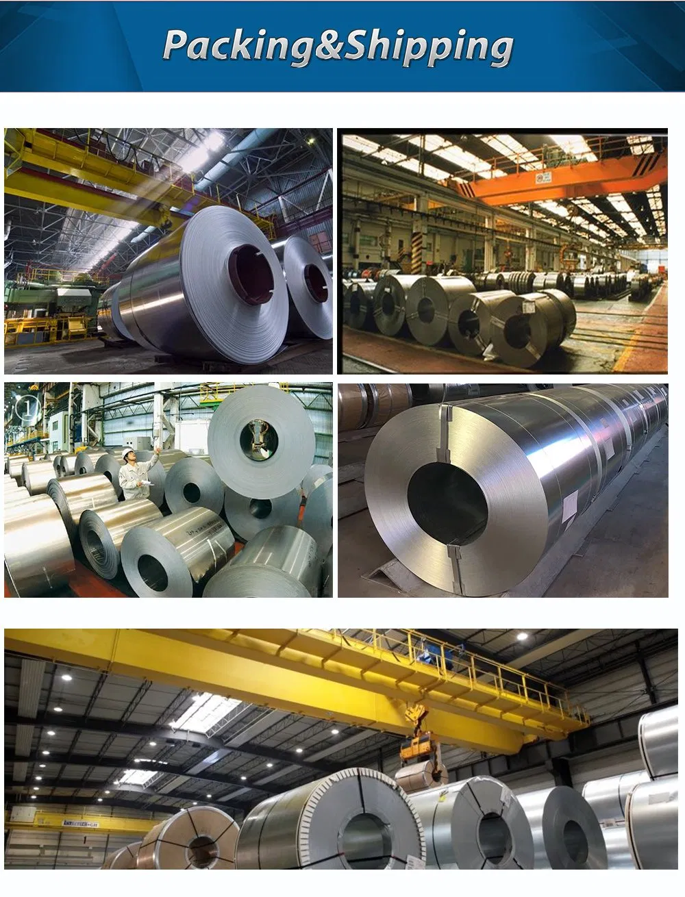 Galvanized Steel Coil, SGCC, Dx51d/Q195/Q215/Q275 Steel Coil Galvanized Steel Coils 1.5mm Thickness Zinc Coated Cold Metal Roll Galvanised Steel Coil