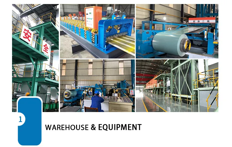 Galvanized Steel Coil Zinc Coated Z160 Steel Coil