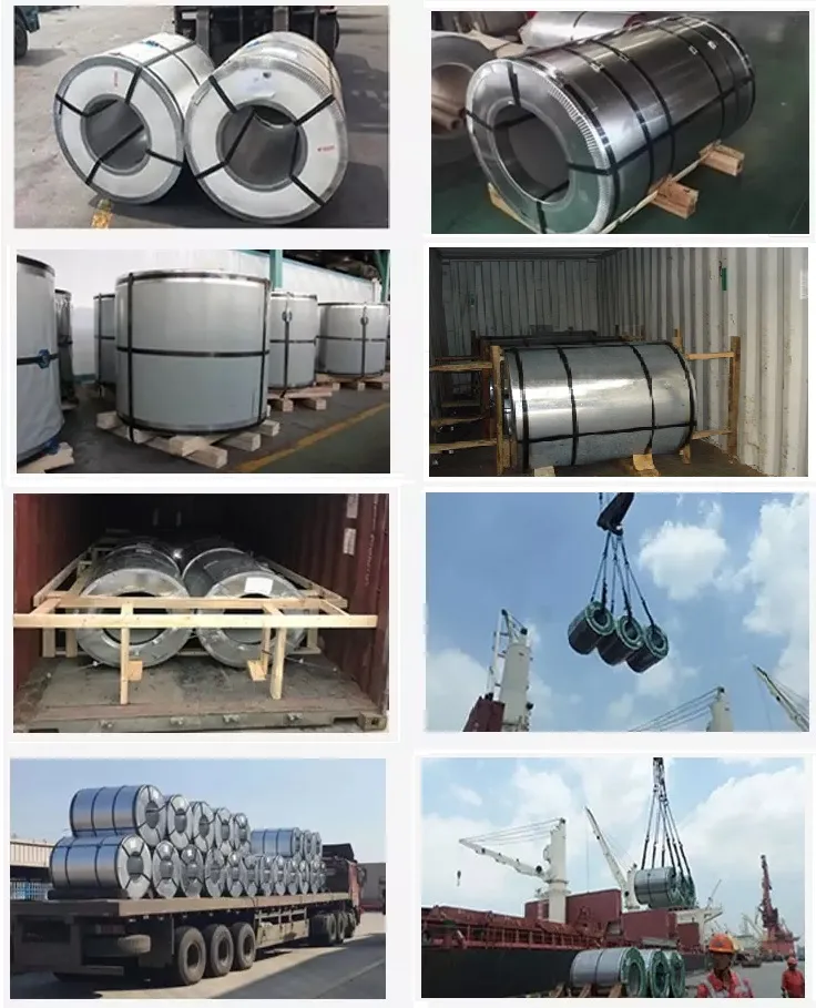 Galvanized Steel Sheet Roll Galvanized Steel Coil Ss400, Q235, Q345 Dx51d Dx52D Dx53D Dx54D Dx55D Z40 Z60 Z100 Z180 Z275 Z350