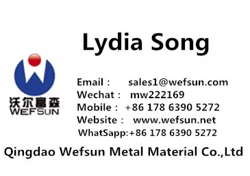 Galvanized Steel Sheets/Hot Dipped Galvanized Steel Coil From China Professional Manufacturerg