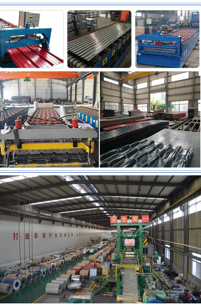 Galvanized Steel Sheets/Hot Dipped Galvanized Steel Coil From China Professional Manufacturerg