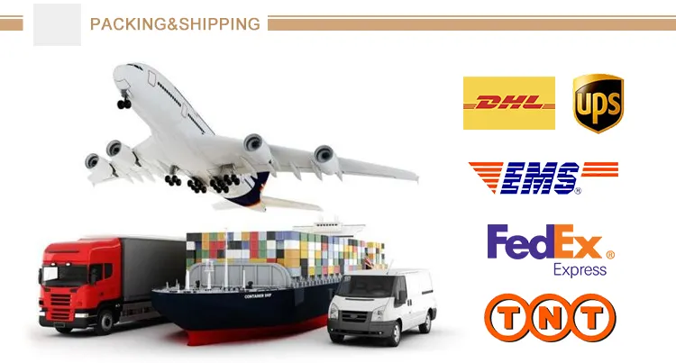 Hot / Cold Rolled AISI 201 304 316L 310S 409L 420 430 431 434 436L 439 Stainless Steel Coil with High Quality Factory Price