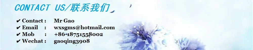 in Stock ASTM A276 310S Stainless Steel Angle