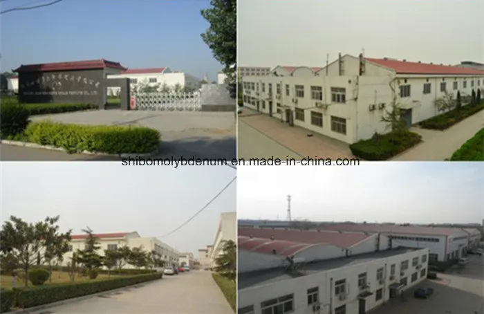 ISO Certified Factory High Purity Wolfram Sheet with Super Quality