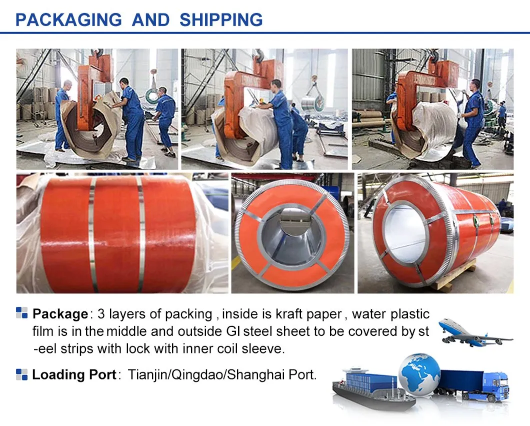 JIS G 3312 Ral 3003 Prepainted Zinc Galvanized Steel Coil /Color Coated PPGI Steel Sheet Coil