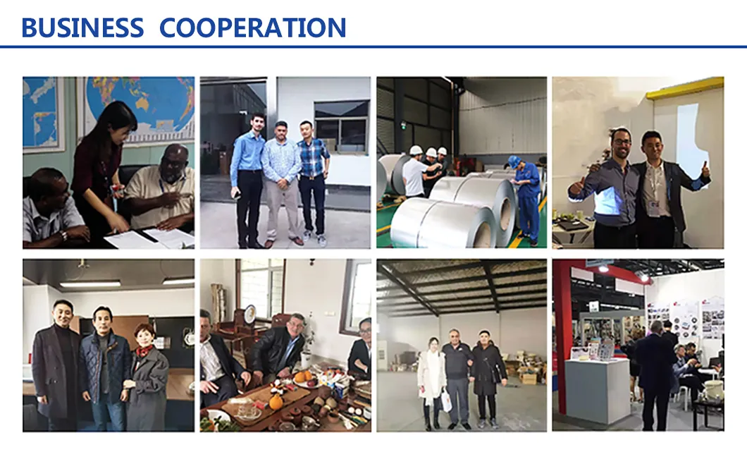 JIS G 3312 Ral 3003 Prepainted Zinc Galvanized Steel Coil /Color Coated PPGI Steel Sheet Coil