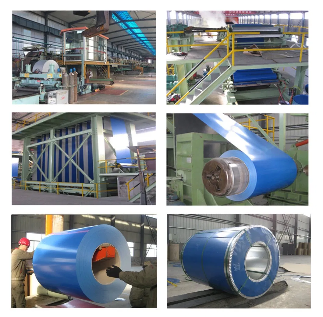 JIS G3322 High Quality Prepainted Galvalume Steel Coil