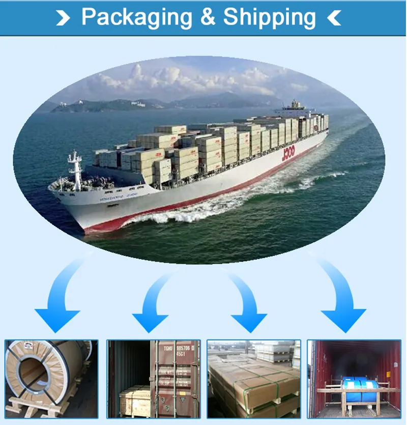 JIS G4303 SUS201 Cold Rolled Stainless Steel Coil (CZ-C82)