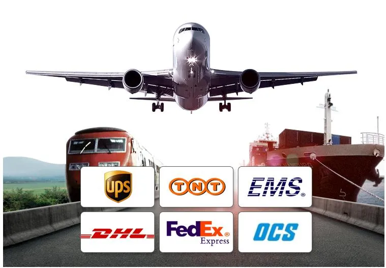 PPGI PPGL Coil Painted Steel Coil/Color Steel Coils/Galvanized Steel Coil