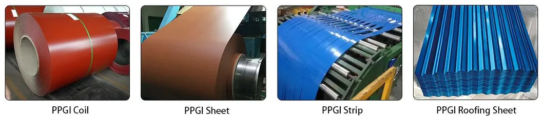 PPGI Prepainted Color Coated Steel Coil for Building Material