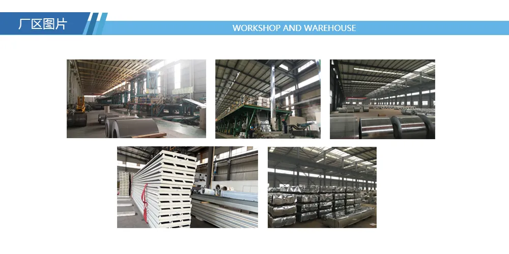 PPGI Steel Coil Color Coated Prepainted Steel Sheet in Coils