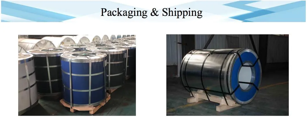 Prepainted Galvanized Steel Coil Akzonobel Painting Brand for Home Applicances