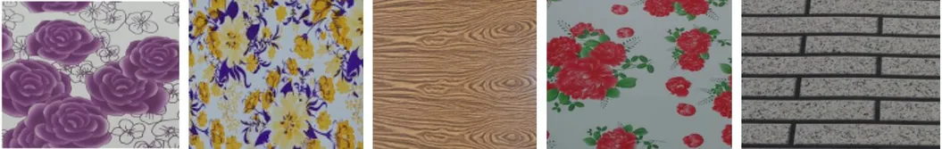 Prepainted Galvanized Steel Coil Akzonobel Painting Brand for Home Applicances