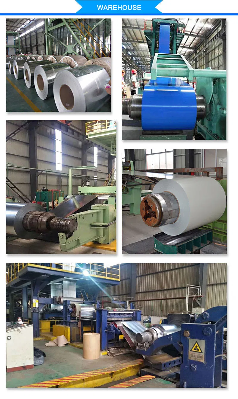 Ral 9003 7021 Color Coated Galvanized Galvalume Coil PPGI PPGL Prepainted Galvanized Steel Coil