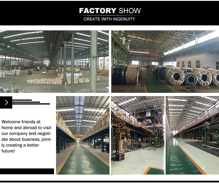 S220gd Z275 Galvanized Steel Coil and Az150g Aluzinc Steel Coil