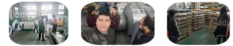 S31803 2205 F51 1.4462 A240 A479 Duplex Stainless Steel Rod/Bar