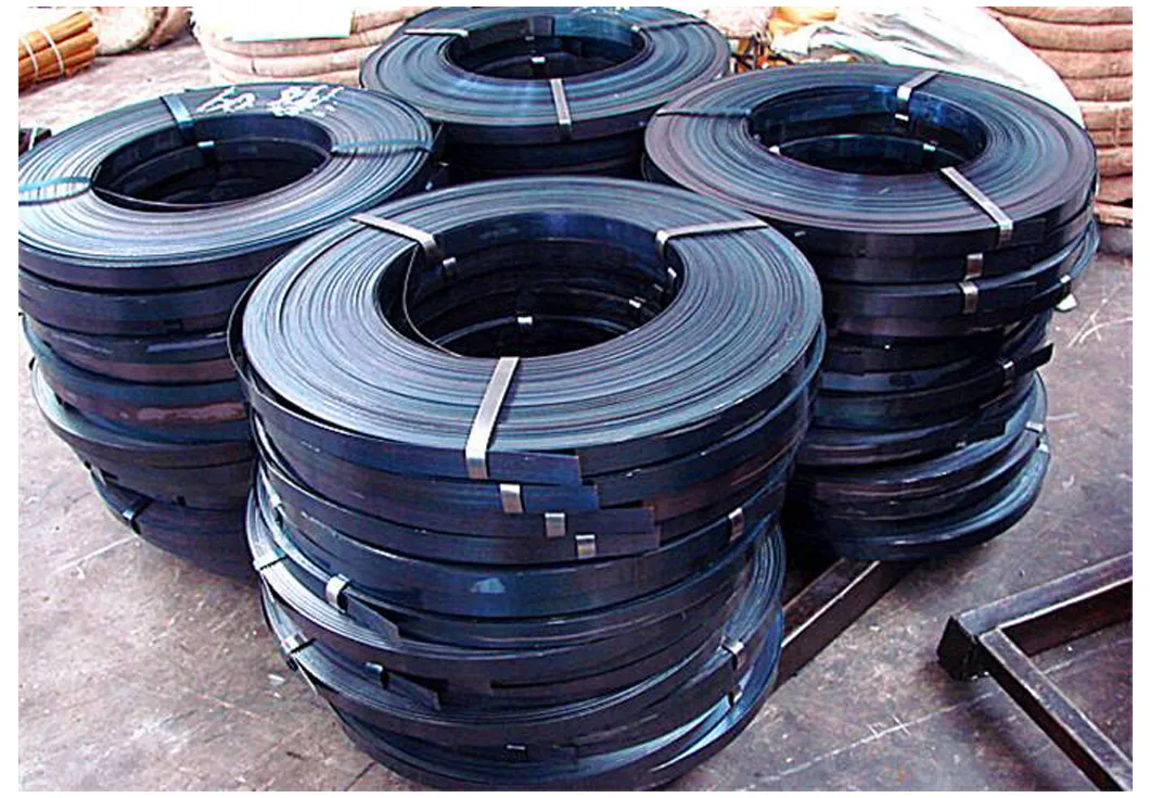 SAE 1060 1065 1070 1075 High Carbon Steel Strip