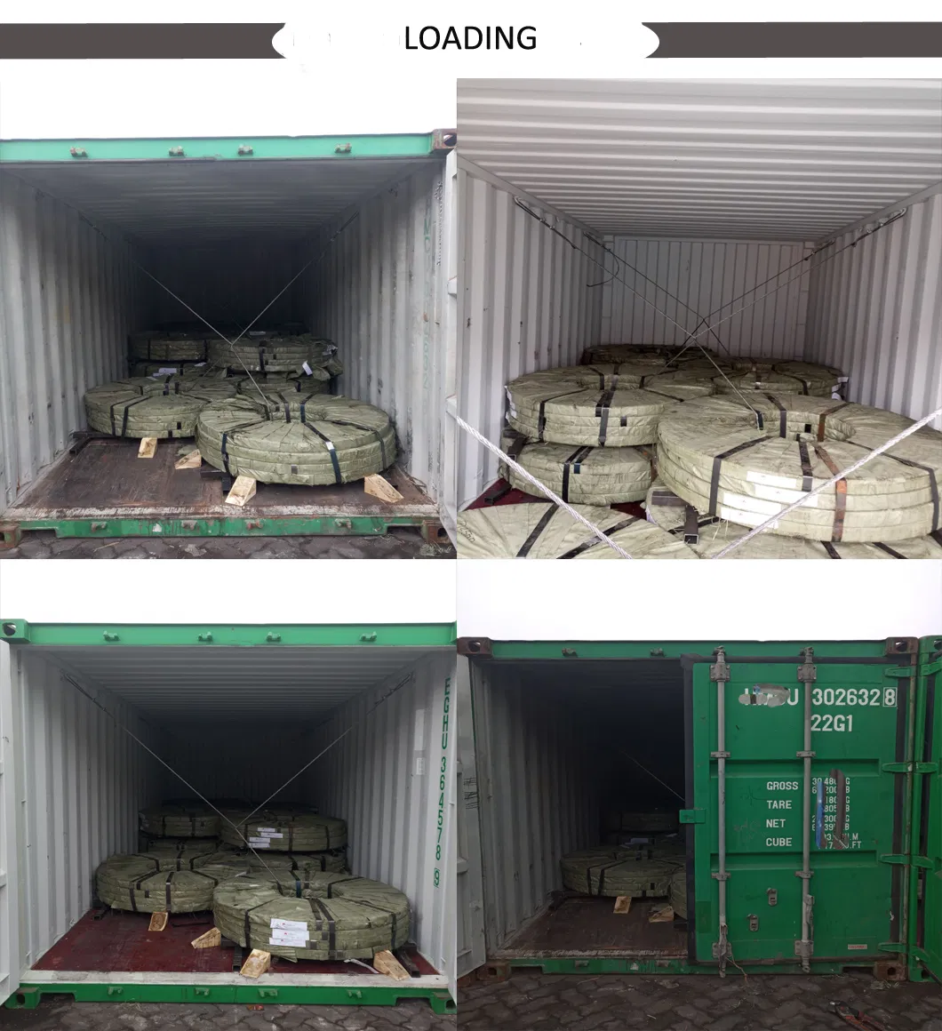 St1203 Cold Rolled Pickled and Oiled Steel Strip