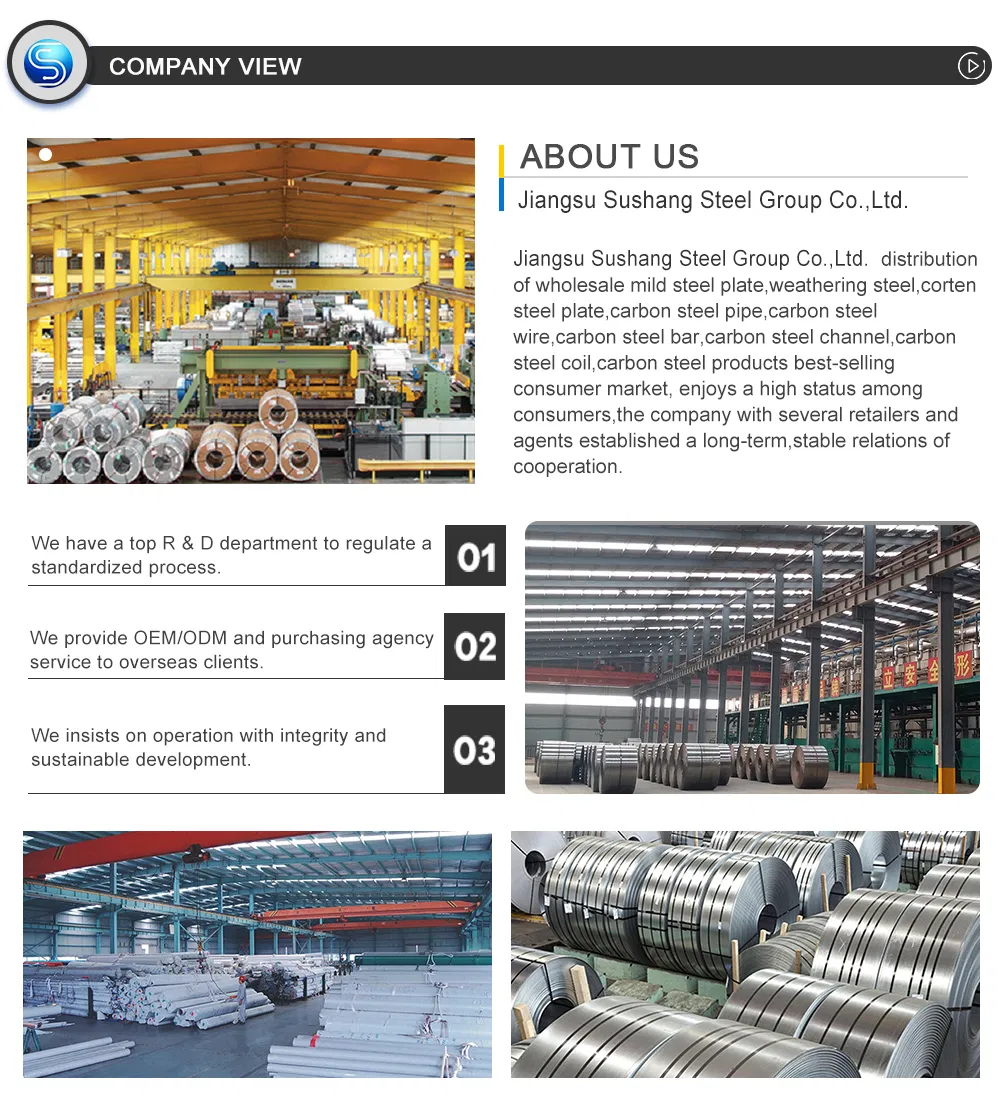 Stainless Steel Wire, T/S 1570-1960n/mm² , ISO9001