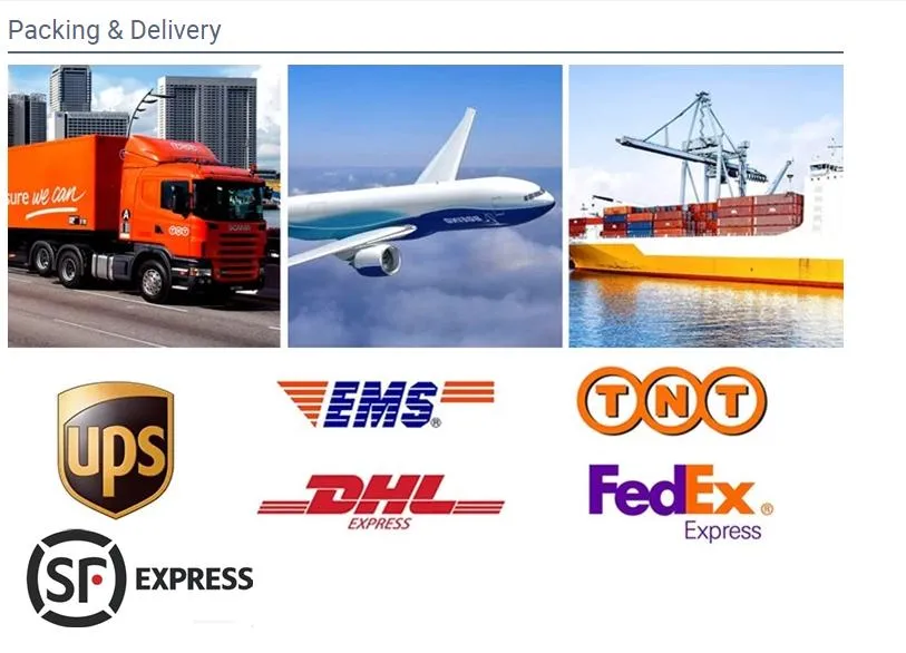 Zinc 30g-600g Hot Dipped Cold Rolled Galvanized Steel Sheet in Coil 0.2mm-0.5mm Thick Steel Coils with Cheap Price